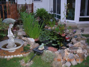 DSCN0253.JPG