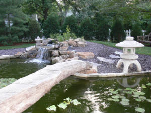 p1010737.jpg