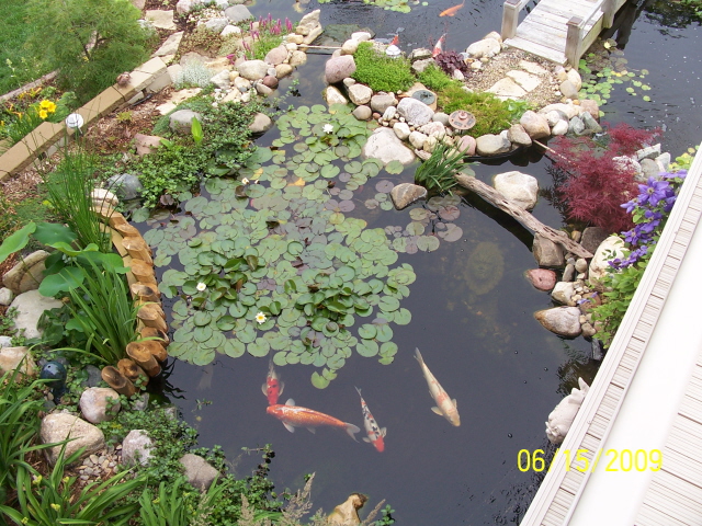 4_sheldons_pond_09.gif