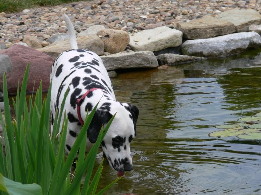 sauerPond_Tour_09-2-079.jpg