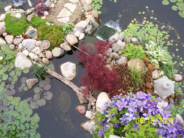 sheldons_pond.gif